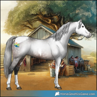 Horse Color:Gray Bay Tobiano 