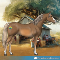 Horse Color:Chocolate Palomino 