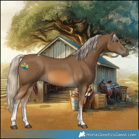 Horse Color:Chocolate Palomino Tobiano 
