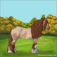 Horse Color:Red Dun and Red Dun Tobiano