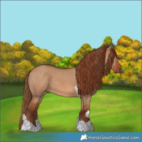 Horse Color:Red Dun and Red Dun Tobiano