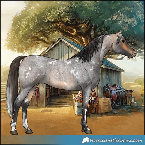 Horse Color:White Spotted Buckskin Roan 