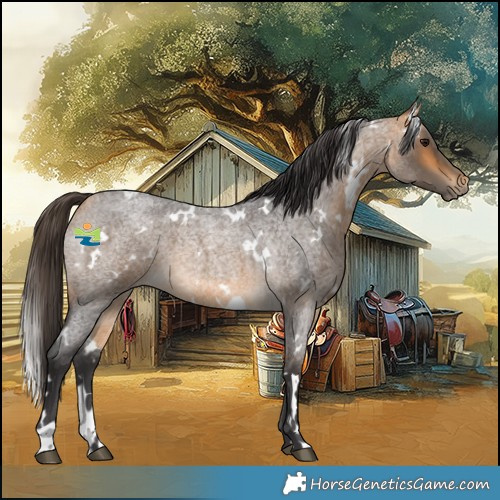 Horse Color:White Spotted Buckskin Roan 