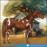 Horse Color:White Spotted Chestnut 