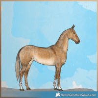Horse Color:Liver Red Dun  and Chocolate Palomino Dun 
