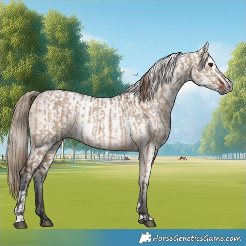 Horse Color:Liver Red Dun  and Gray Liver Red Dun 
