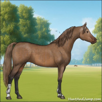 Horse Color:Liver Red Dun  and Gray Liver Red Dun 