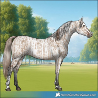 Horse Color:Liver Red Dun  and Gray Liver Red Dun 