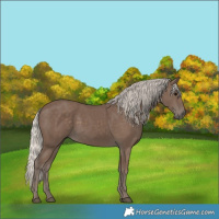 Horse Color:Silver Black 