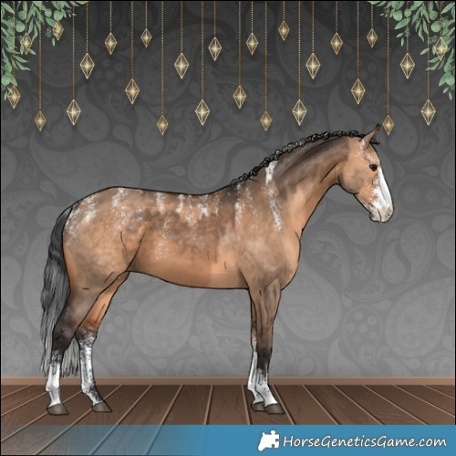 Horse Color:Powder White Brown Dun Sabino  and Powder White Bay Dun Sabino 
