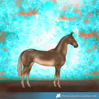 Horse Color:Chocolate Palomino Rabicano 