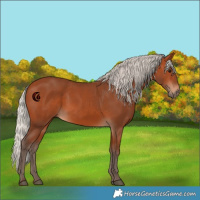 Horse Color:Silver Bay 