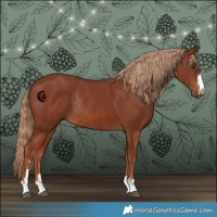 Horse Color:Chestnut Rabicano 