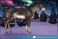 Horse Color:Liver Chestnut Tobiano 