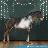 Horse Color:Liver Chestnut Tobiano 
