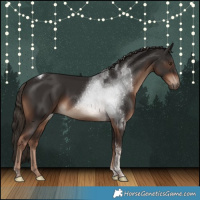 Horse Color:Liver Chestnut Tobiano 