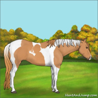 Horse Color:Chestnut Tobiano 