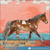 Horse Color:White Spotted Chocolate Palomino Tobiano