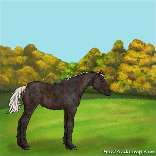 Horse Color:Midnight Silver Bay Ice 