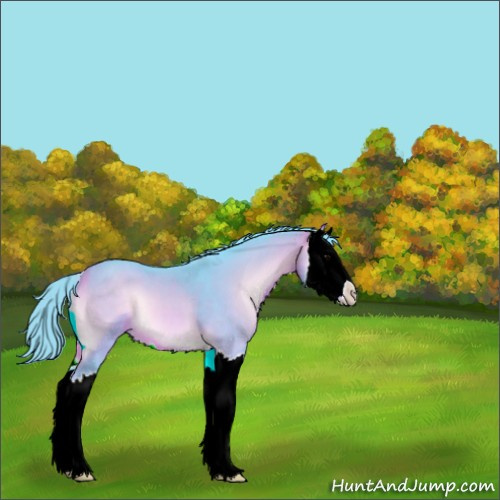 Horse Color:Watercolor Buckskin Onyx Sabino Splash 