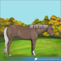 Horse Color:Silver Black 