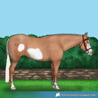 Horse Color:Silver Sable Champagne Frame 