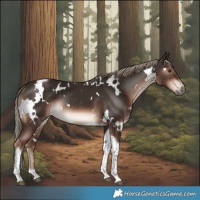 Horse Color:White Spotted Liver Chestnut Mushroom Tobiano Rabicano