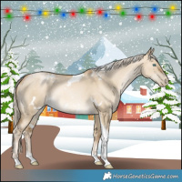 Horse Color:White Spotted Chocolate Palomino Pearl Dun Mushroom Tobiano Rabicano 