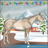 Horse Color:White Spotted Chocolate Palomino Pearl Dun Mushroom Tobiano Rabicano