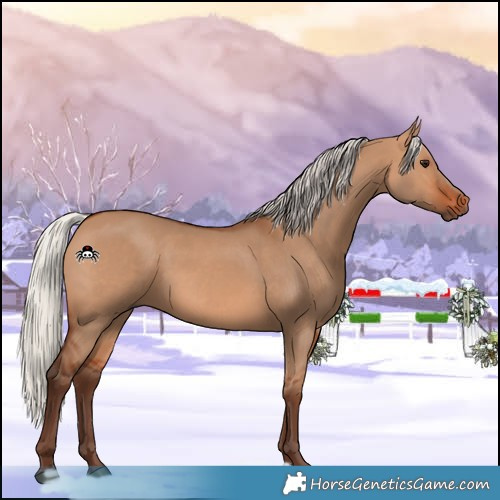Horse Color:Silver Bay Dun 