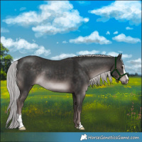 Horse Color:Platinum Liver Chestnut Sabino Rabicano