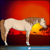 Horse Color:Red Dun 