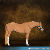 Horse Color:Chestnut Tobiano 