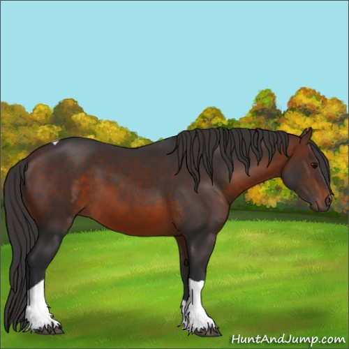 Horse Color:Brown Tobiano Rabicano 