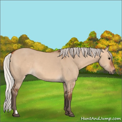 Horse Color:Silver Bay Dun 