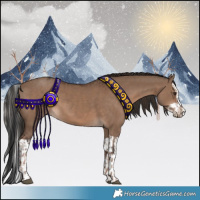 Horse Color:Liver Red Dun  and Liver Red Dun Splash 