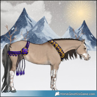 Horse Color:Liver Red Dun and Liver Red Dun Splash