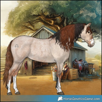 Horse Color:Bay Roan Dun and Red Dun Roan