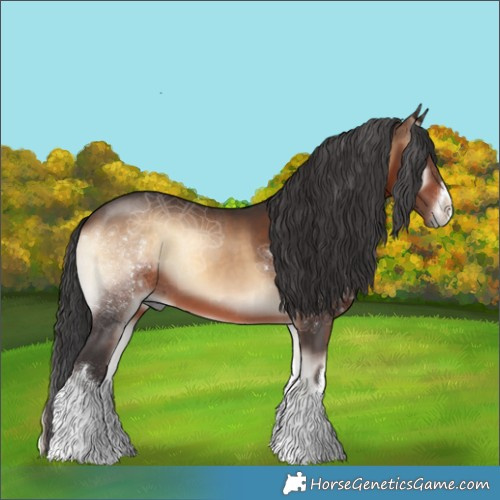 Horse Color:White Spotted Brown Onyx 