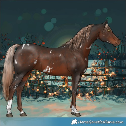 Horse Color:White Spotted Liver Chestnut Tobiano 