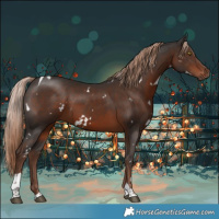 Horse Color:White Spotted Liver Chestnut Tobiano 