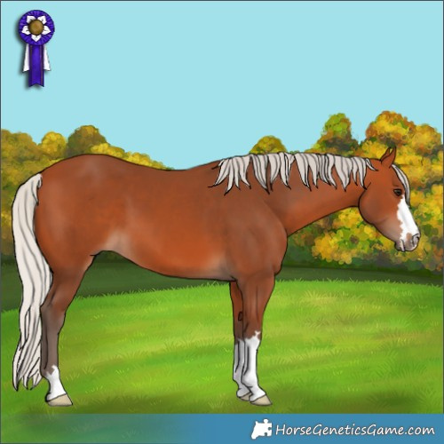 Horse Color:Silver Bay