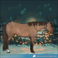 Horse Color:Liver Red Dun  and Liver Red Dun 