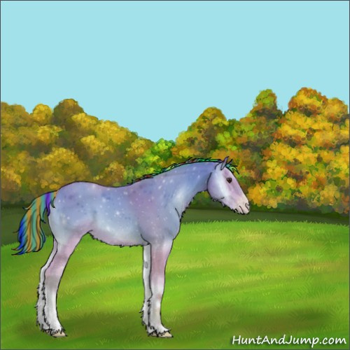 Horse Color:Painted Watercolor Amber Champagne Onyx 