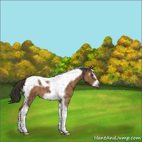 Horse Color:Gray Liver Red Dun Tobiano Frame Brindle 