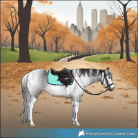 Horse Color:Gray Buckskin Tobiano