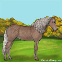Horse Color:Silver Black 