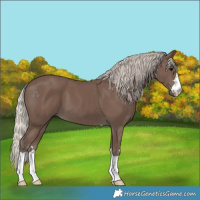 Horse Color:Silver Black 