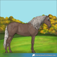 Horse Color:Silver Black 