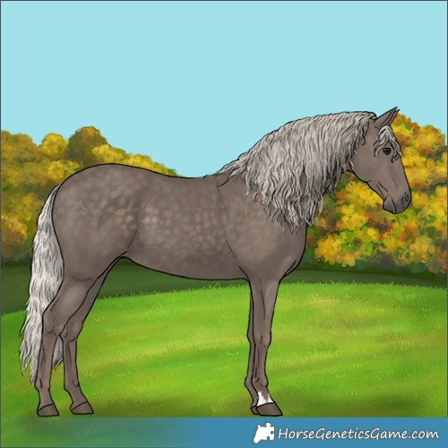 Horse Color:Silver Black 